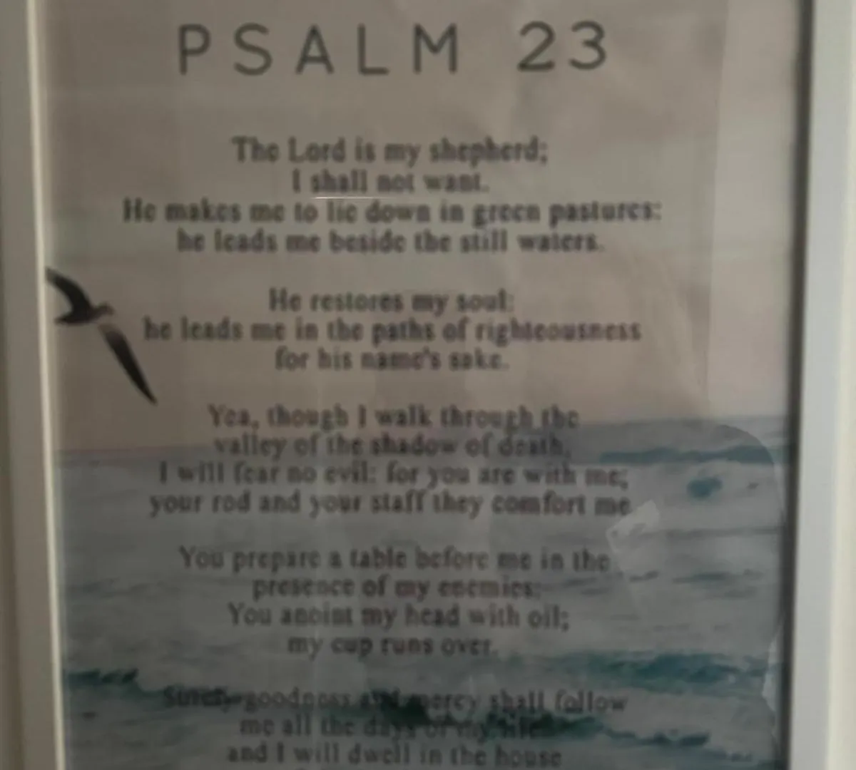 Psalm 23 Apartment Savona